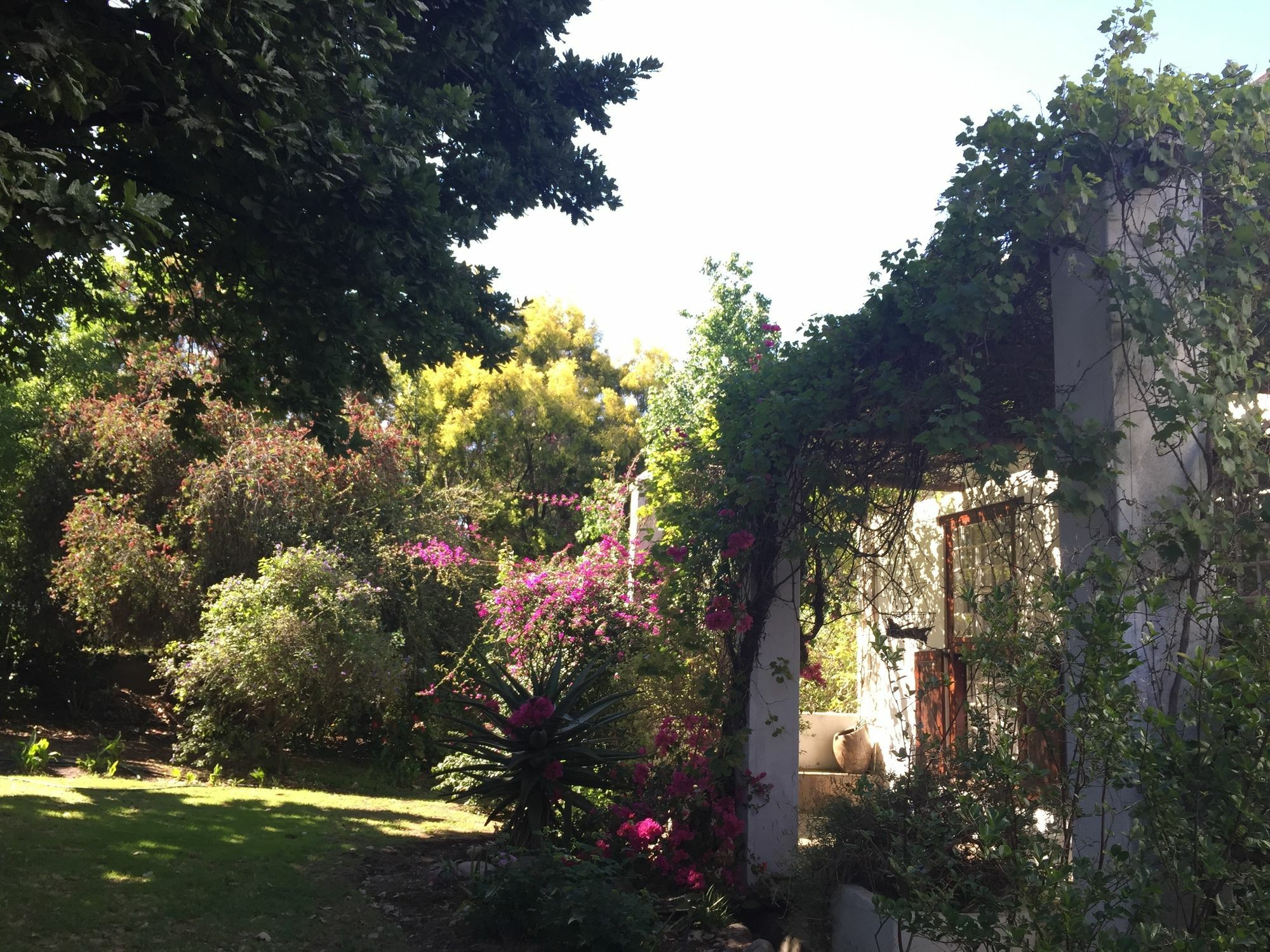Wittedrift Manor House Tulbagh Exterior foto